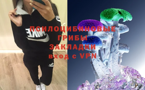 spice Тавда